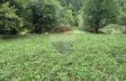 Teren de vis de 2.800 mp pe Valea Tarcaului Cu lac natural ?i padure