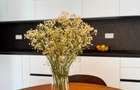 Apartament cu 2 camere | TODI | Etaj 1 | Pet Friendly - 5