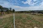 Vand casa 3 camere in Chesint ID:RH-41260-property - 6
