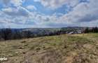 Teren intravilan | vanzare | 2745 mp | Feleacu - 5
