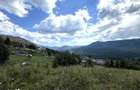 Teren intravilan Colibita 2300 mp panoramic