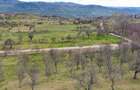 De vanzare: teren intravilan 1048 mp in Poienari, Corbi, Arges - +447784179868 - 4
