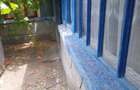 Casa batraneasca cu teren de 2.350 mp, Insuratei - 2