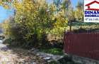 3600 mp teren intravilan, sat Bistrita, 14 Euro/mp