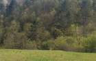 Vand teren intravilan - 2