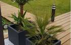 Casa tip P+M, 120 mp, zona Valea Ghinzii - 4