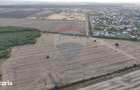 Teren investitie, intravilan Tamasi / Buftea - 2