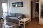 Apartament voluntari - 3