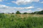 Teren de vanzare, intravilan, 5 ari, Suceava, zona Itcani - 2