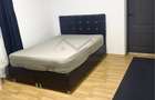 Apartament 1 camera Tatarasi - 4