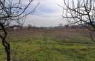 Teren 4625 mp Cataloi (10 min de Tulcea) - 4
