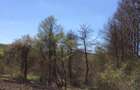 Proprietar,Teren Valea Ursului la 5km de Pitesti - 5