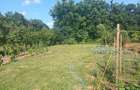 Vand casa in Abramut - 5