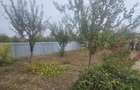 CASA P+M , 150 mp, TEREN 3000 MP ,FILIASI( FRATOSTITA) , COMISION 0% CUMPARATOR - 13