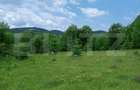 Teren intravilan de vanzare, 12000mp, Trance?ti, Scari? - 5