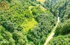 Investitie Smart in Moieciu, 3.1 ha, Panorama 360 Bucegi - Piatra Crai - 2
