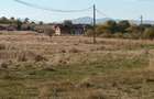 Teren extravilan Rasnov DN73A - zona Valea Merilor