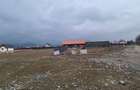 Teren 1450m- Carpinis/Tarlungeni, intravilan - 12