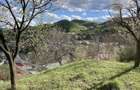 Teren intravilan 5.000 mp Garcina | 12 min de Piatra Neam? | Padure + priveli?te - 5
