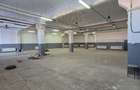 Inchiriere Hala 650mp Drum intre Tarlale - 4