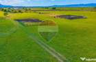 COMISION 0% | Teren 1,000mp Bod / Strada Mihai Eminescu - Bod (Brasov) - 4