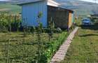 Vand teren extravilan Gadalin - 5