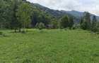 Vand teren intravilan 5.000 mp Sat Brate?, Com. Tarcau, Jud. Neam? - 1