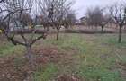 Teren intravilan 3000 mp/Cadastru - 9