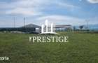 TEREN EXTRAVILAN 2000 MP IN DAIA - BAVARIA | DEALUL 2 | PRIVELI?TE - 10