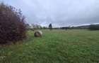 Teren intravilan in Padureni - Chinteni, 3200 mp, intre case - 2