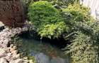 Proprietate cu doua case | Zona premium intre Dambu Pietros si Gh Doja - 14