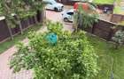 Vila Premium Complet Renovata 2026 | 320 MP Utili | Sauna| - 1