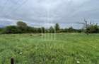 Teren intravilan de vanzare in Daia Noua 1.000 mp - 1