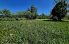 823 mp teren extravilan, ideal rulota/cabana weekend - 2