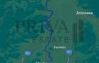 Padure steraj si fag (2ha, 2,4ha, 3,8ha, 9,11ha, 9ha)