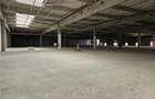 Spatiu Industrial - 7000 mp - Logistica - Productie - Depozitare - Distributie - 17