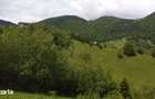 Teren intravilan 4.151 mp in Pe?tera (Moeciu), Proiect DTAC inclus - 11