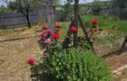 Casa cu 5 camere, curte ?i pivni?a, 35000 EUR - 10