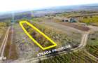 Teren intravilan cu livada 1.000 m2 in Ardud-Vii, view spectaculos!