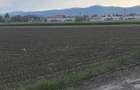Teren de vanzare ..1739mp. - 7