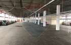 Hala 600 m productie - depozitare Lift 3t, Acces TIR, zona Aeroport - 3