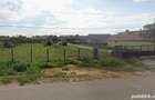 Vand Proprietate Ccomplexa 5 HECTARE (Casa Locuibila+Teren cu anexe) Rosia de Secas, Jud. ALBA - 3