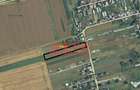 TEREN intravilan S= 5000 mp Curtisoara! - 1