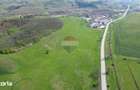 Teren de vanzare sau inchiriat 19ha intravilan, Agnita,Sibiu - 10