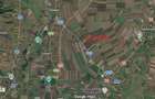Teren industrial intravilan 5000mp Sfantu Gheorghe/ Ozun