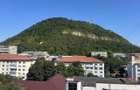 Apartament 2 Camere | Ultracentral | Piatra Neamt - 5