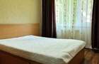 Apartament 1 camera de inchiriat Podu Ros - 11