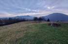 Vindem 53360 mp Bucovina - Vama