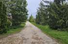 Proprietate Beharca teren 38464mp - 10