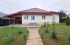 Crihan-Casa 145mp+3000mp teren